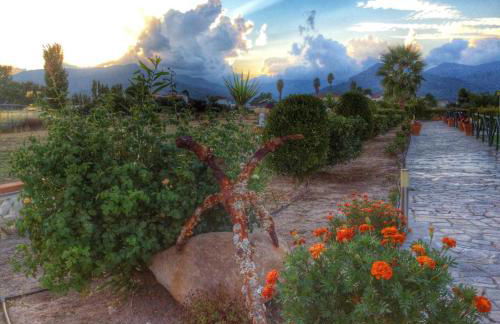 Kalloni Beach Villas - Foto 4