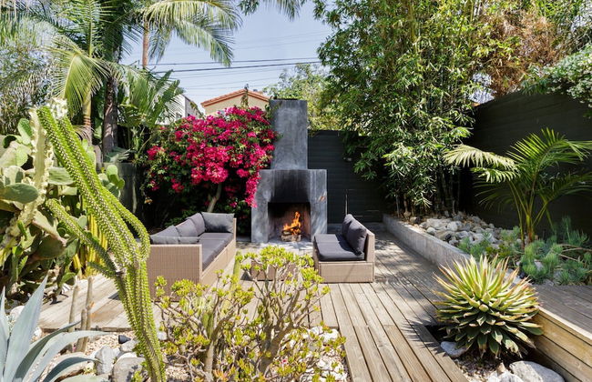 Cactus Flower - Foto 21