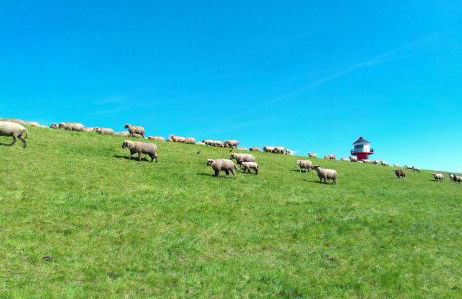 Ferienwohnung Werner - Foto 8