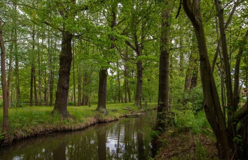 Vierseitenhof Appartements - Foto 43