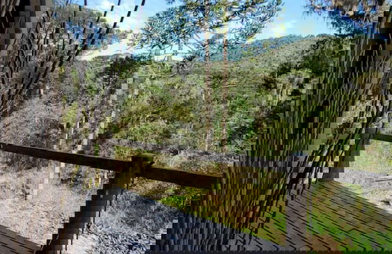 YAAHOO ECOLODGE - Foto 51