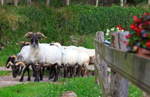 CASA RURAL Urruska - Foto 39