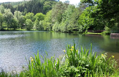 Ferienwohnung im Herzen des Pfälzer Waldes - Photo 16