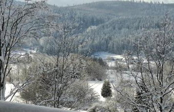 Ferienwohnung Panoramablick- 2 Südhanglage - Foto 25