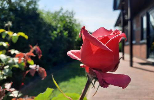 Ferienhaus Sasse Ferienwohnungen mit Garten & Grill - Foto 39