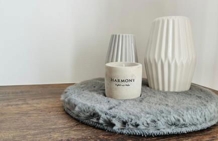 HARMONY "2" stylishes 2 Zimmer Apartment 1 OG Balkon Garten Parkplatz - Foto 15