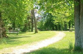 Zimmer und Apartment Rosi - Foto 4