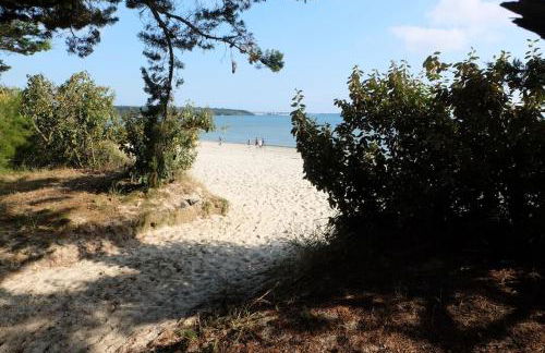 PORT LA FORET T2 avec jardin 300m de la plage - Foto 17