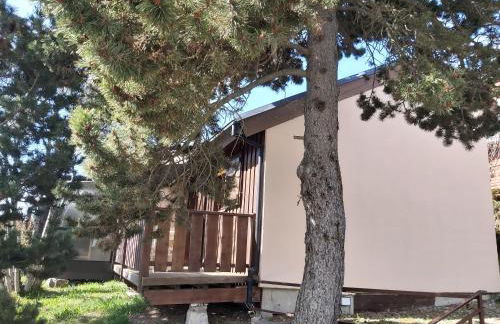 chalet de l ours - Foto 18