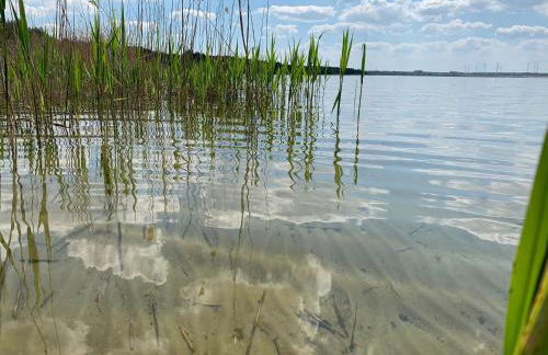 Alter Gasthof Seminar- und Gästehaus Spreewald - Foto 20