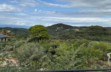 Sofia's Bella Vista Pagoi - Photo 63