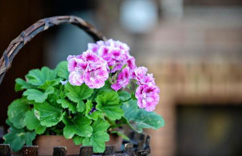 Spacious Villa in Celorico de Basto with Private Pool - Foto 46