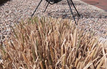 5 Sterne Ferienwohnung Dünensand - Photo 39