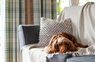 Curlew Lodge Yorkshire - Foto 8