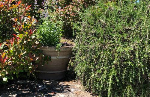 Les choses de la vie - Foto 49