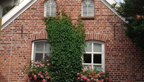 Klaassen- Ferienhaus Up Warf - Photo 2