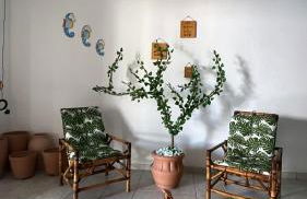 beachouse Barra Sirinhaém - Photo 36