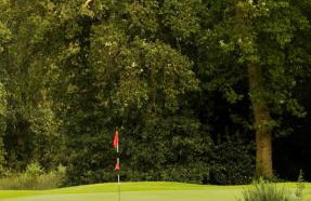 The Dragon Pad Boutique Apartment - Foto 70