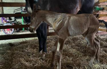 Dom na wyłączność Kruzy36 - Foto 14