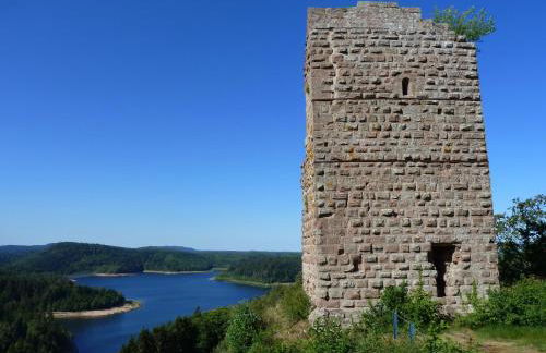 Chalet - gîte avec étang - Foto 34