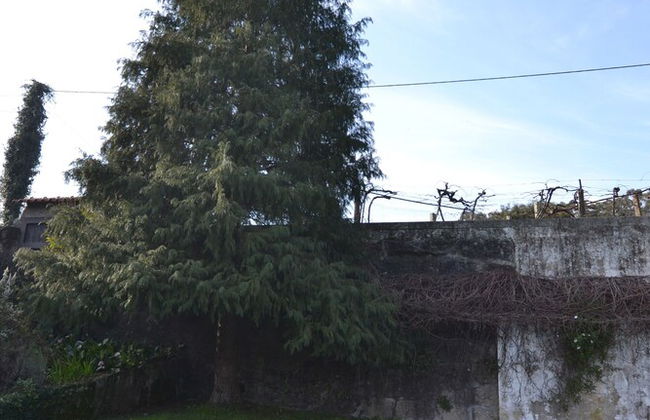 Casas de Pindela - Photo 39