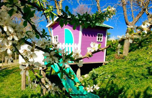 Fattoria Bio L'A Ceccoli - Foto 20