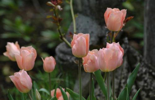 Ferienhaus Nest - Foto 12