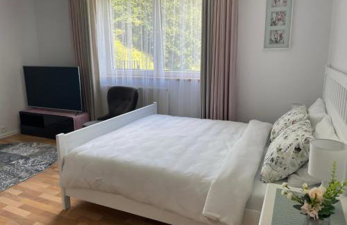 Apartamenty AGAT - Foto 47