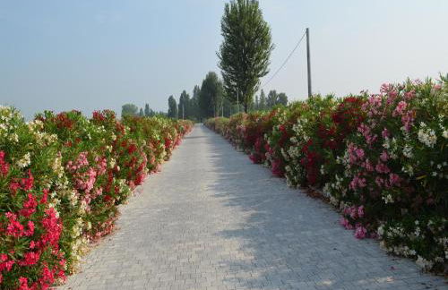 Characteristic Apartment in Codigoro With Pool - Foto 94