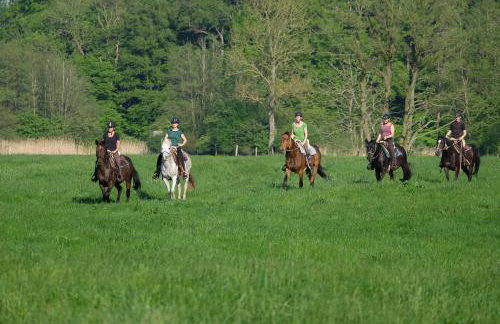 Ferienhaus 3 Zi im ART.Quartier - Foto 22