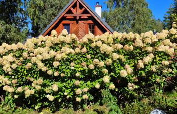 Domek w Karkonoszach - Foto 56