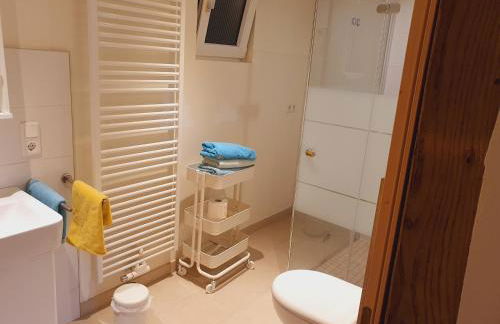 Große Bauernhaus Ferienwohnungen bis 100qm mit E-Bike-Verleih - Foto 60