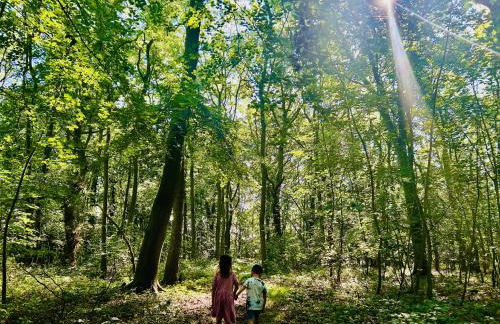 Ella Lodge - Foto 41