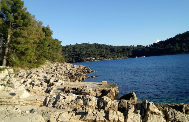 Apartmani Ančila - Foto 23