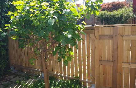 Casa Magda - Foto 33