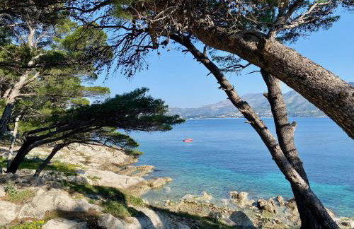 Indigo Cavtat Apartments - Sunset Sea View - Foto 58