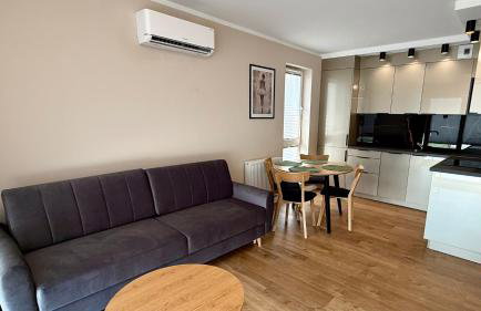 Nowa Dzielnica Cztery Apartamenty przy Tężni - Foto 10