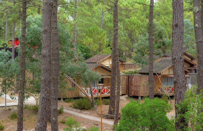 Les Oyats Sylvadoures - Foto 1