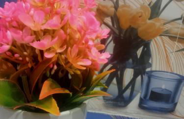 Casa dei fiori - Foto 21