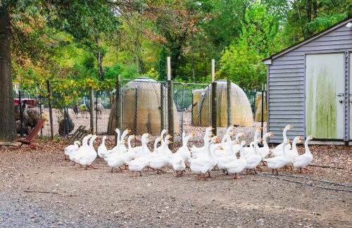 Bucks County Home Farm Philadelphia Dog Friendly - Foto 56