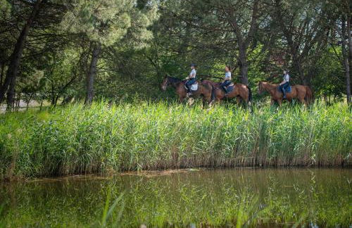 Isola di Albarella - Foto 29