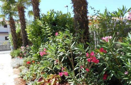 Apartman Mirela - Foto 9