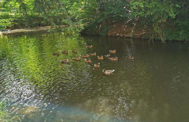 Lenzenhof anno 1720 II - Foto 22