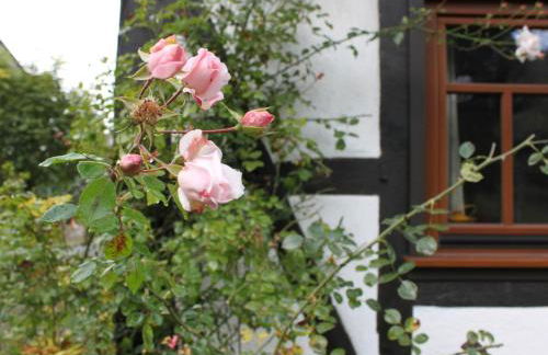 Holiday Home Romantisches Fachwerkhaus zwischen Rhein und Mosel by Interhome - Foto 7