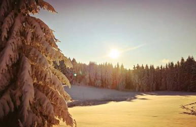 Bungalow Schwarzatalblick in Bad Blankenburg Ortsteil Böhlscheiben - Foto 16