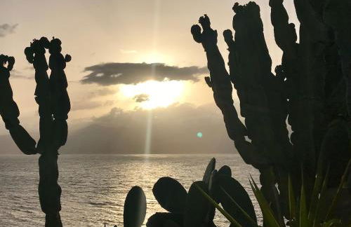 Sunset Terrazza - Foto 35