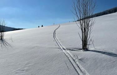 Villa Laas Oberwiesenthal - Foto 50
