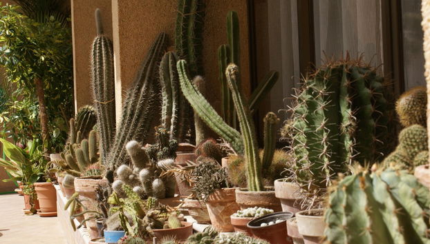 Isla del Sol - Foto 4