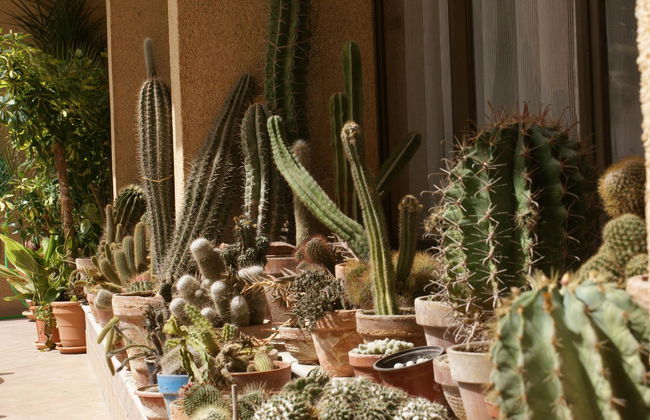 Isla del Sol - Foto 4