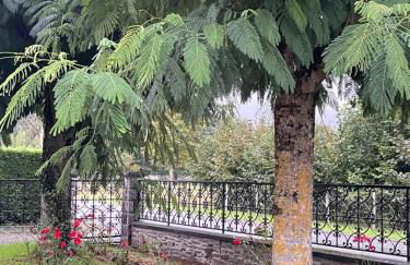 Vue du Gar - Foto 18